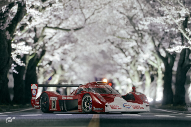 Yonomori Sakura Tunnel